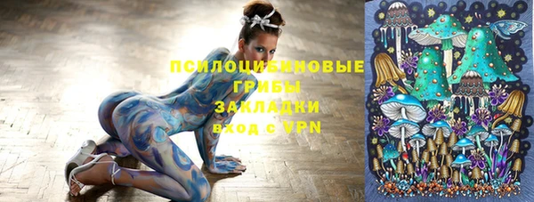 бошки Михайловск