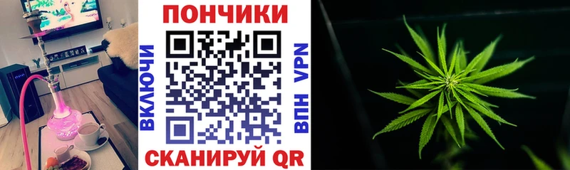Купить где Лянтор Бошки Шишки гибрид